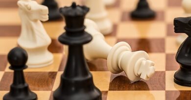 La selección cubana de ajedrez concluyó en el noveno lugar del grupo D de la División Top en la primera edición de la Olimpiada online de ajedrez